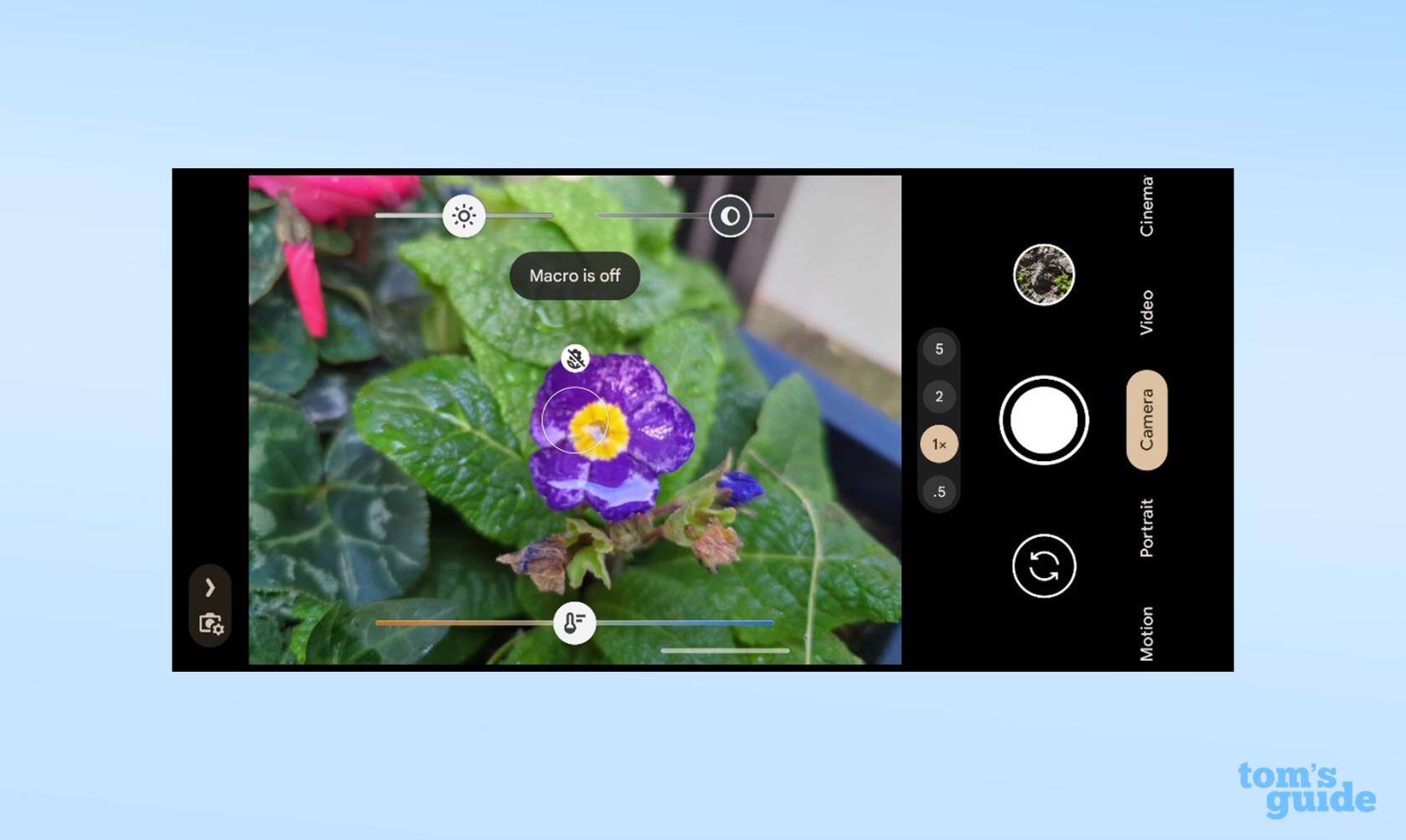 この Google Pixel 7 Pro 機能を使用すると、極端なクローズアップを撮影できます。その使用方法はこちらです