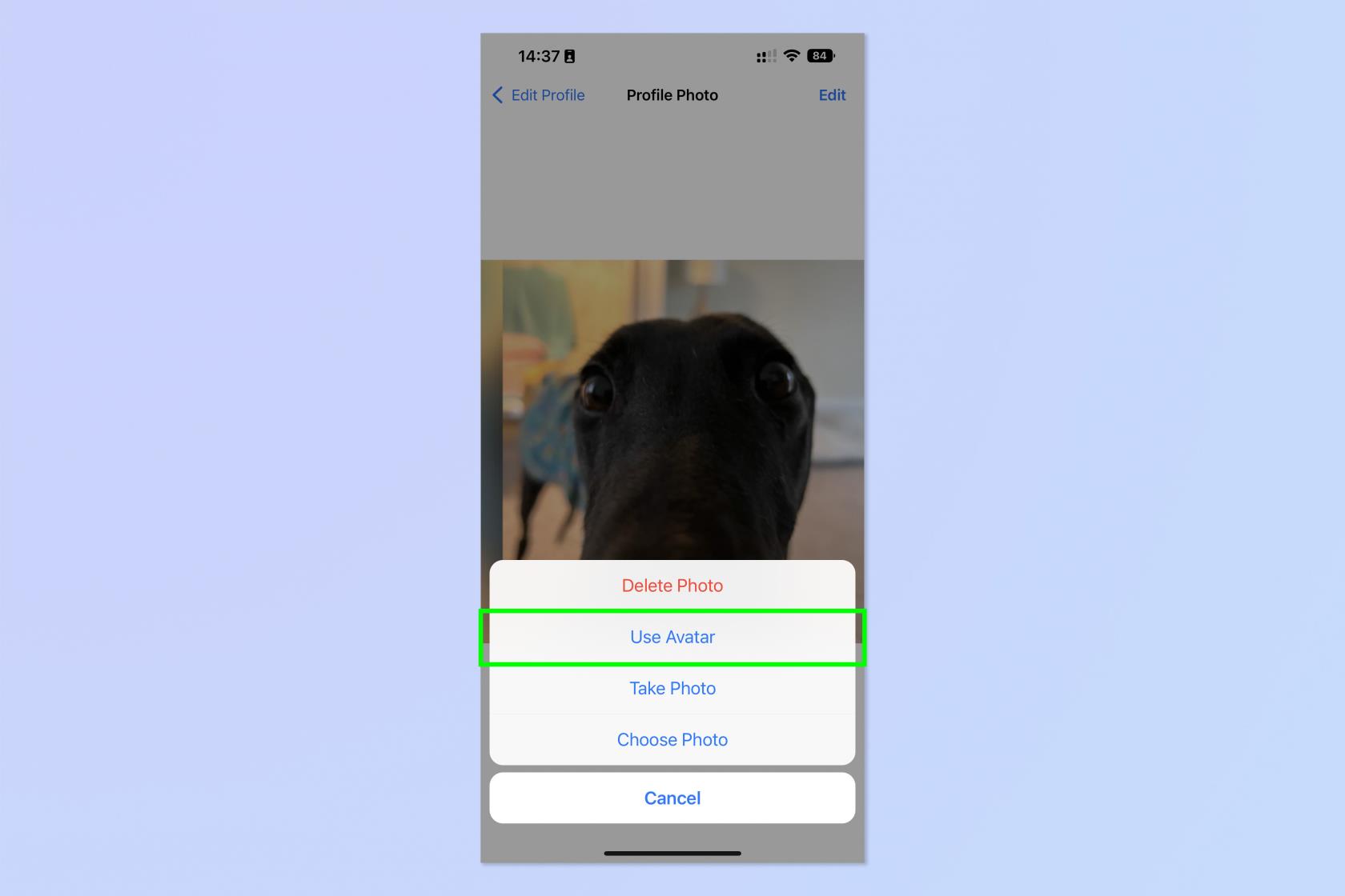 WhatsApp アバターを作成できるようになりました - その方法は次のとおりです