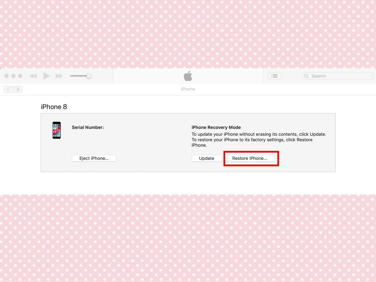 iPhone が無効になった場合の対処方法