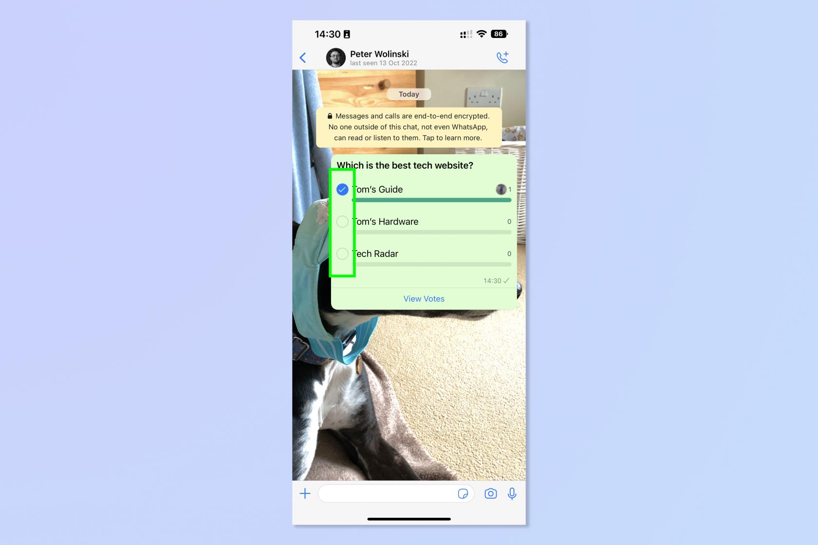 WhatsApp でアンケートを作成する方法