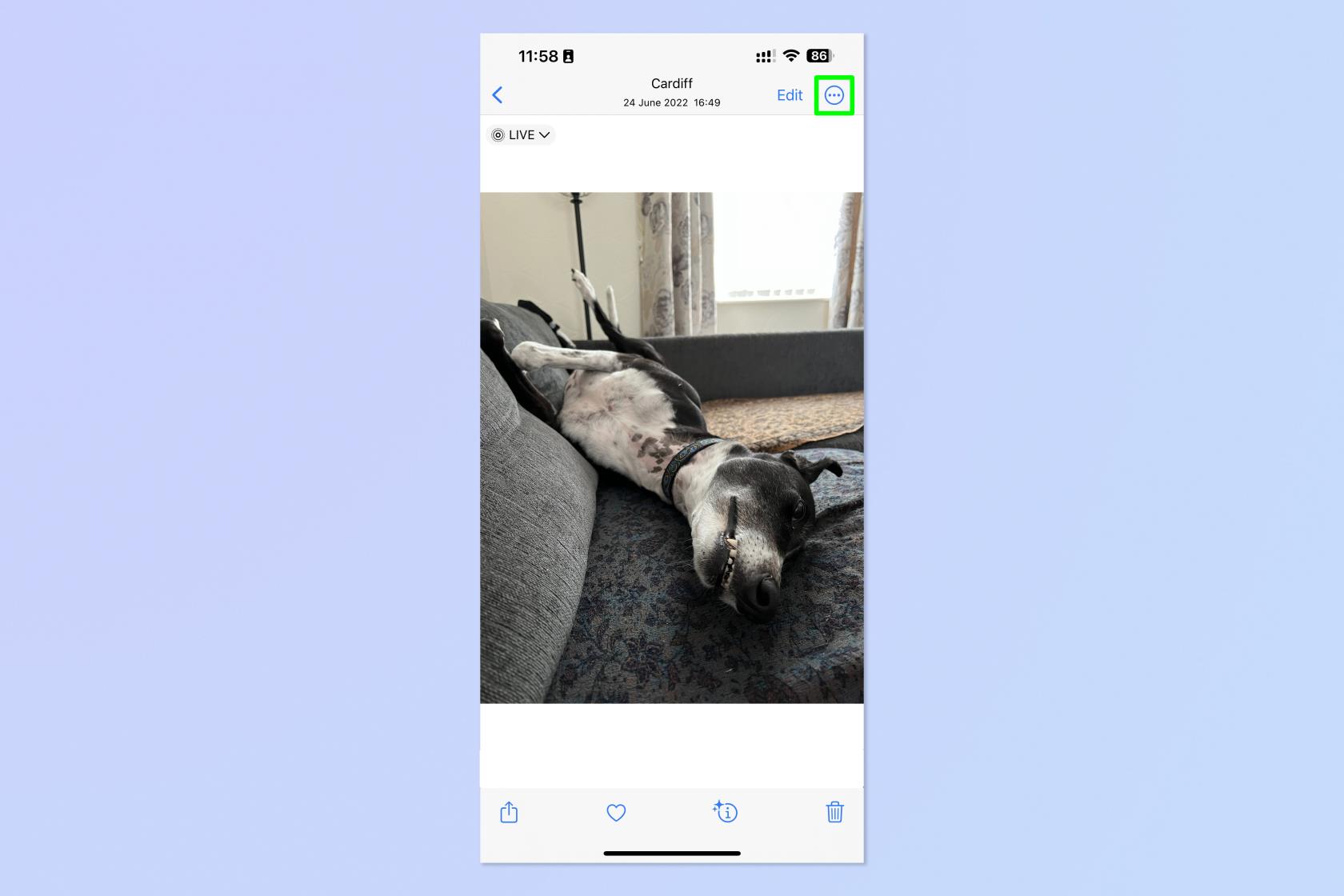 iPhone と iPad で Live Photo をビデオに変える方法
