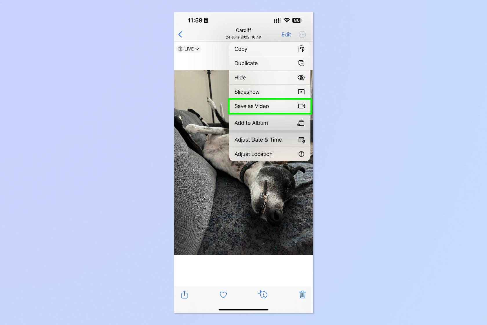 iPhone と iPad で Live Photo をビデオに変える方法