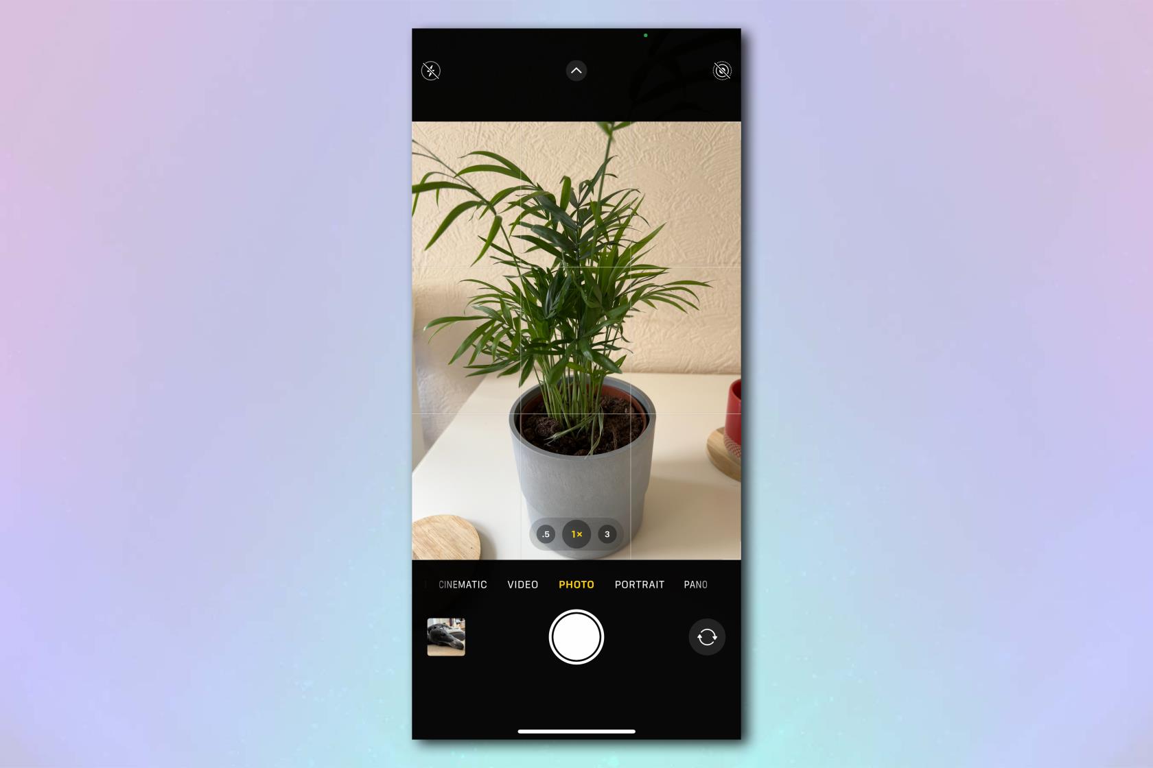 iPhone は、写真だけからあらゆる植物をすぐに特定できます。その方法は次のとおりです。