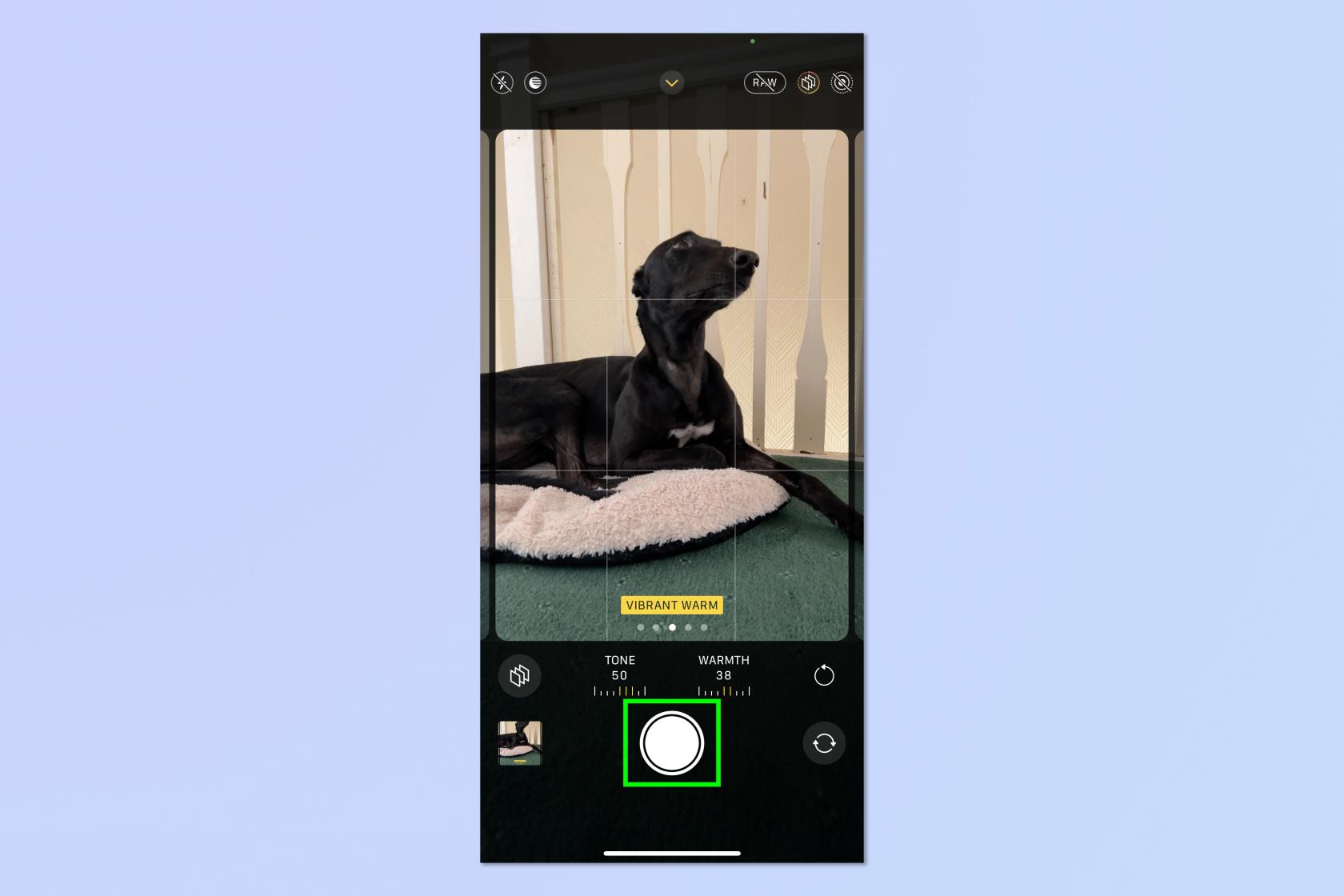iPhoneで写真スタイルを設定して画像を自動編集する方法