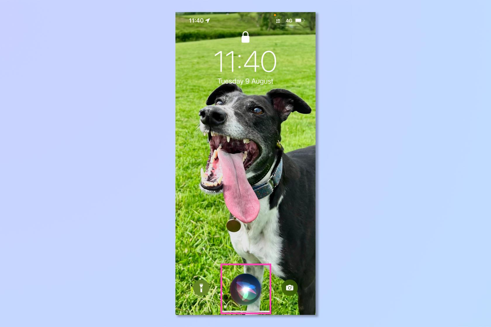 この非表示の iPhone 機能により、画面が割れたデバイスを使用できるようになります