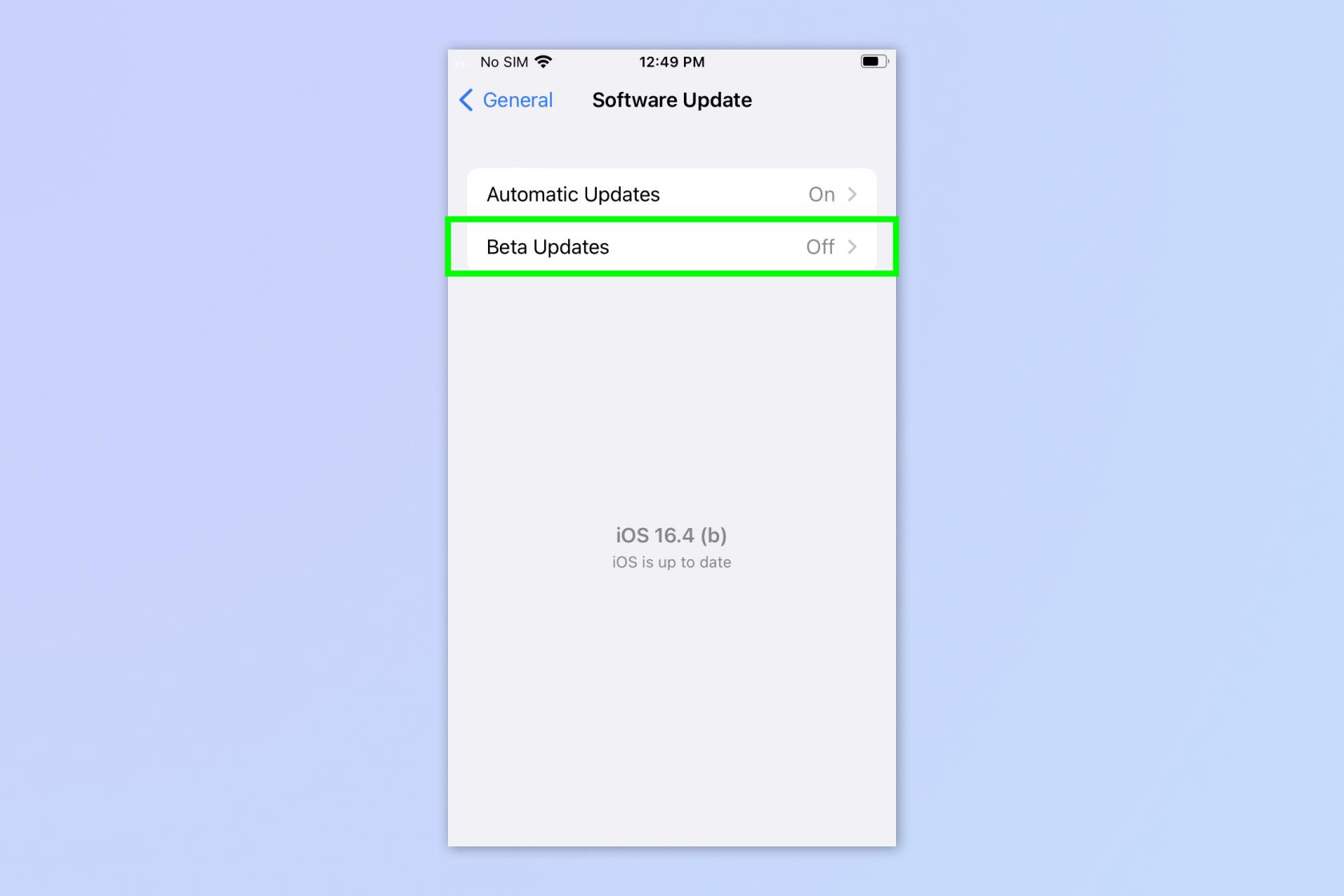 この iOS 16.4 機能により、ベータ版のアップデートが非常に簡単になります — その方法は次のとおりです