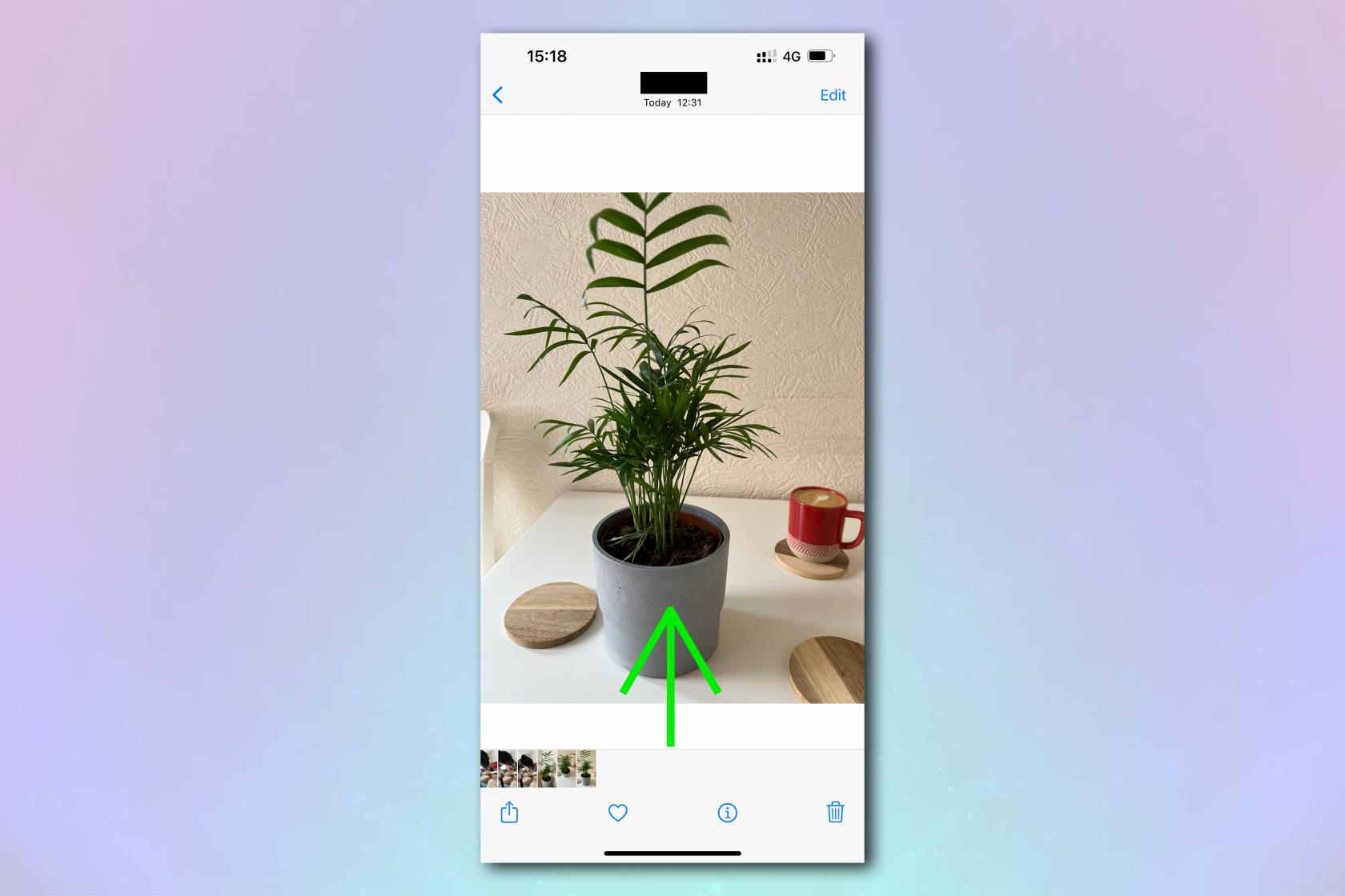 iPhone は、写真だけからあらゆる植物をすぐに特定できます。その方法は次のとおりです。