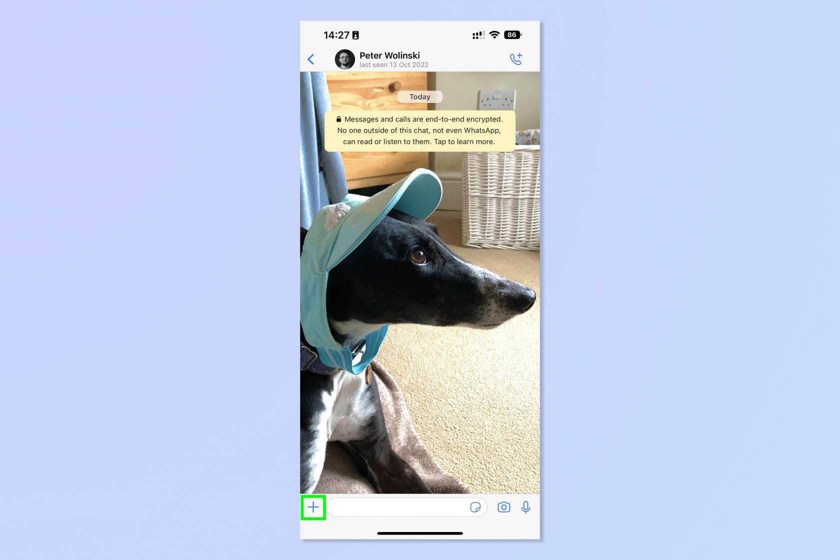 WhatsApp でアンケートを作成する方法