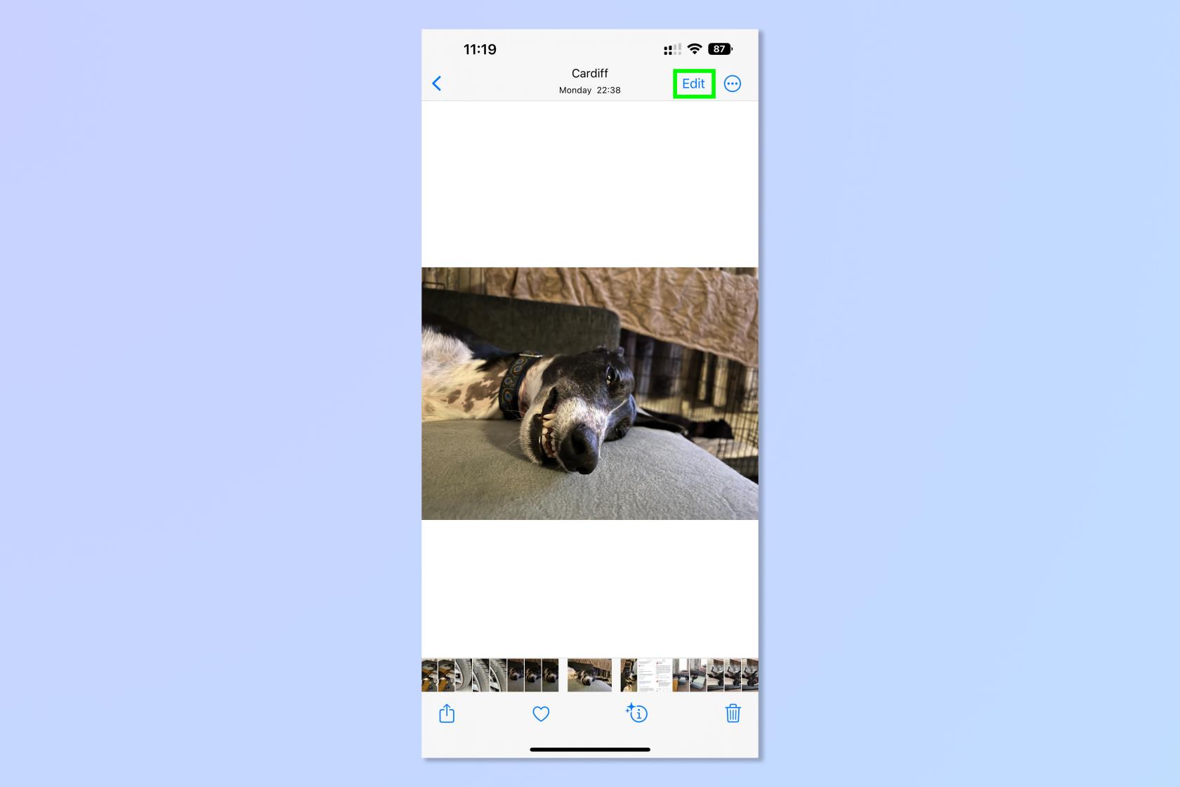 この iOS 16 の写真機能により、画像編集が非常に簡単になりました