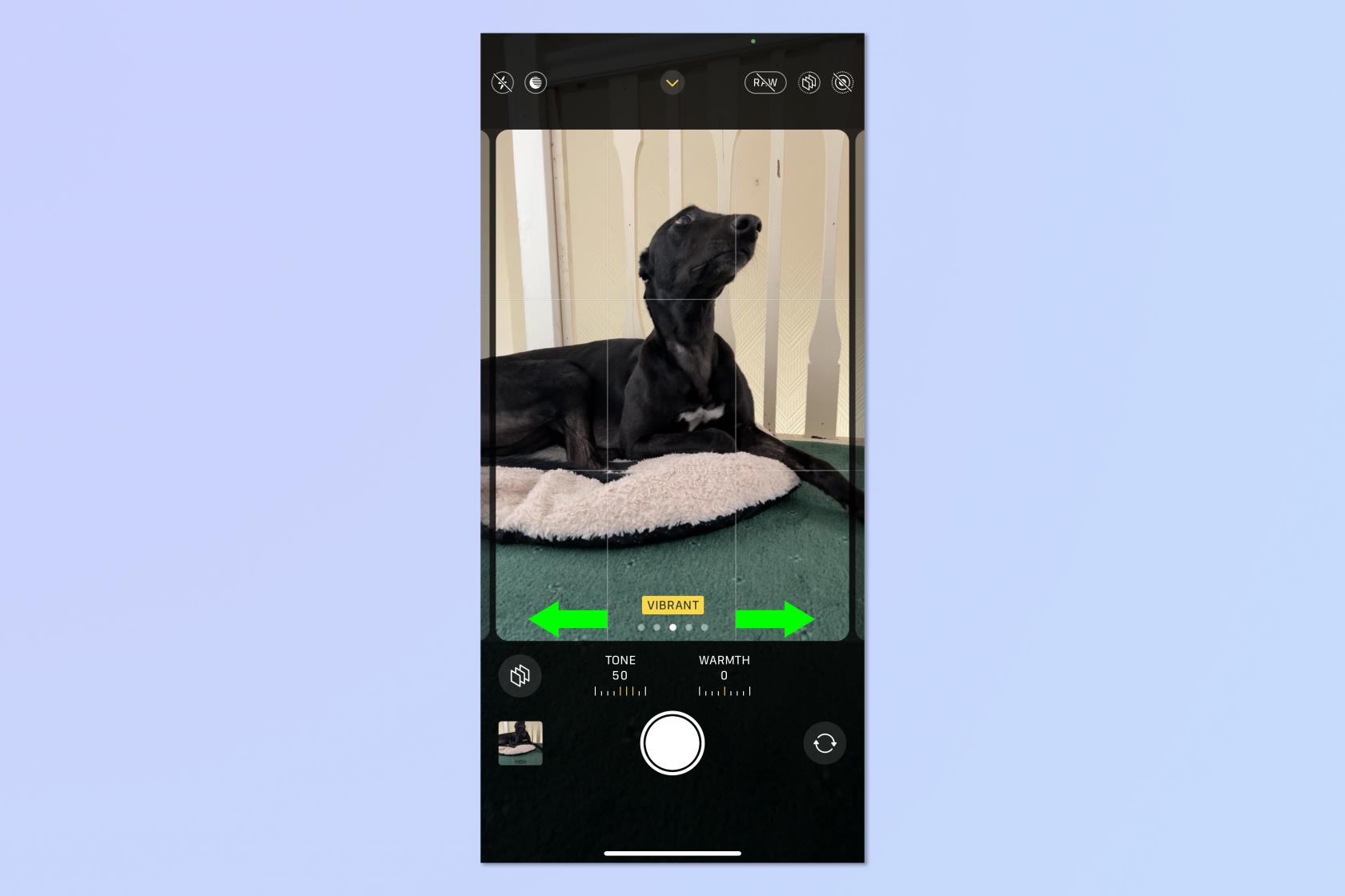 iPhoneで写真スタイルを設定して画像を自動編集する方法