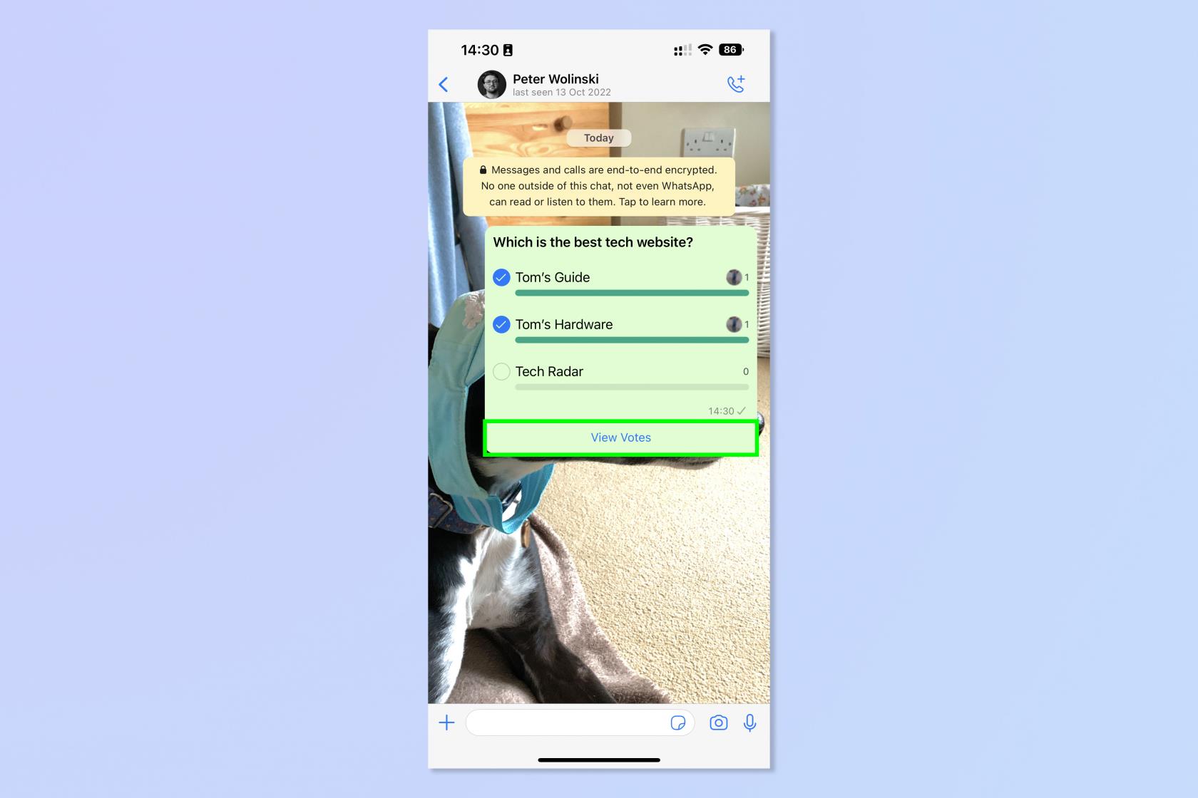 WhatsApp でアンケートを作成する方法