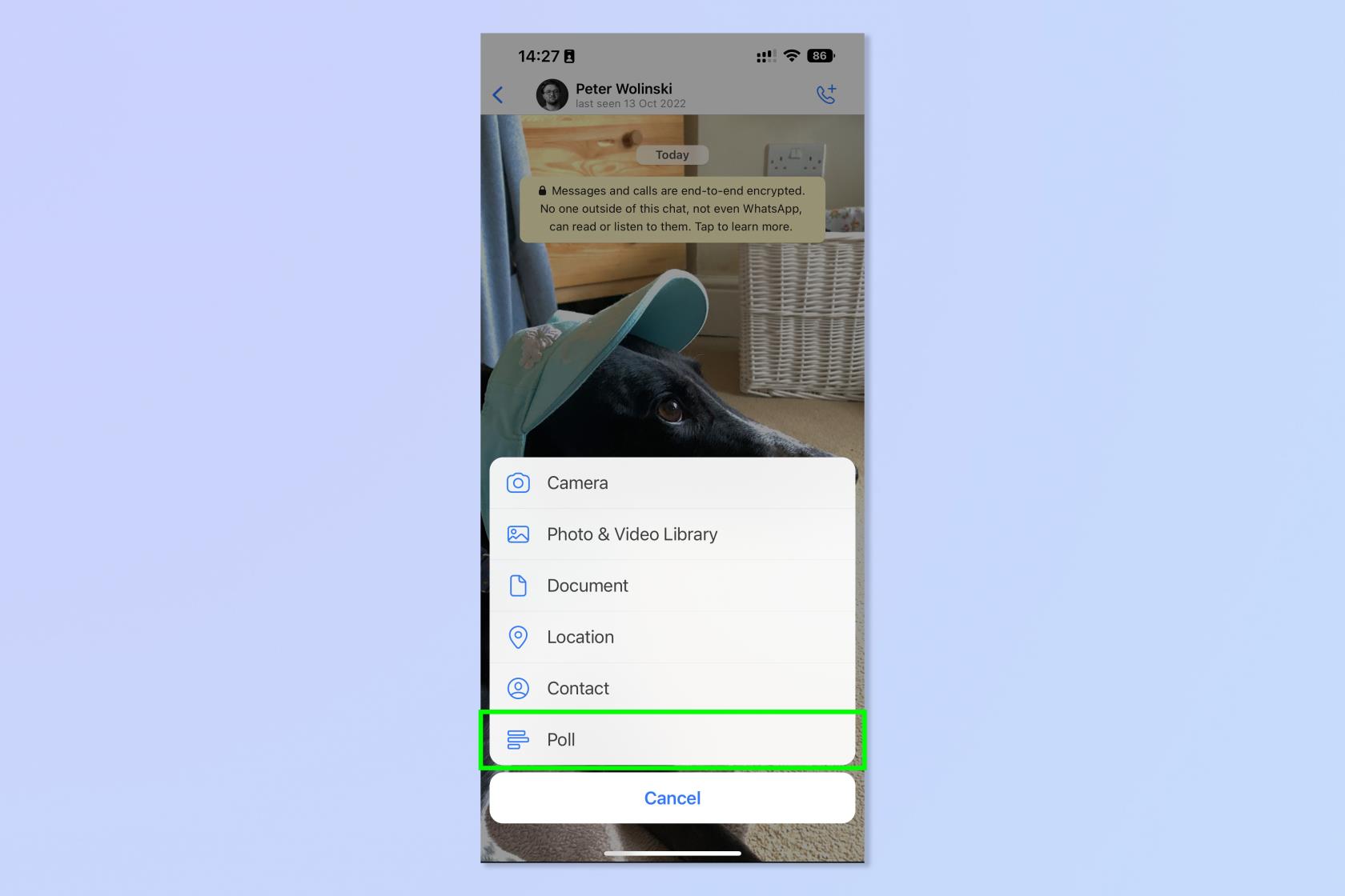 WhatsApp でアンケートを作成する方法
