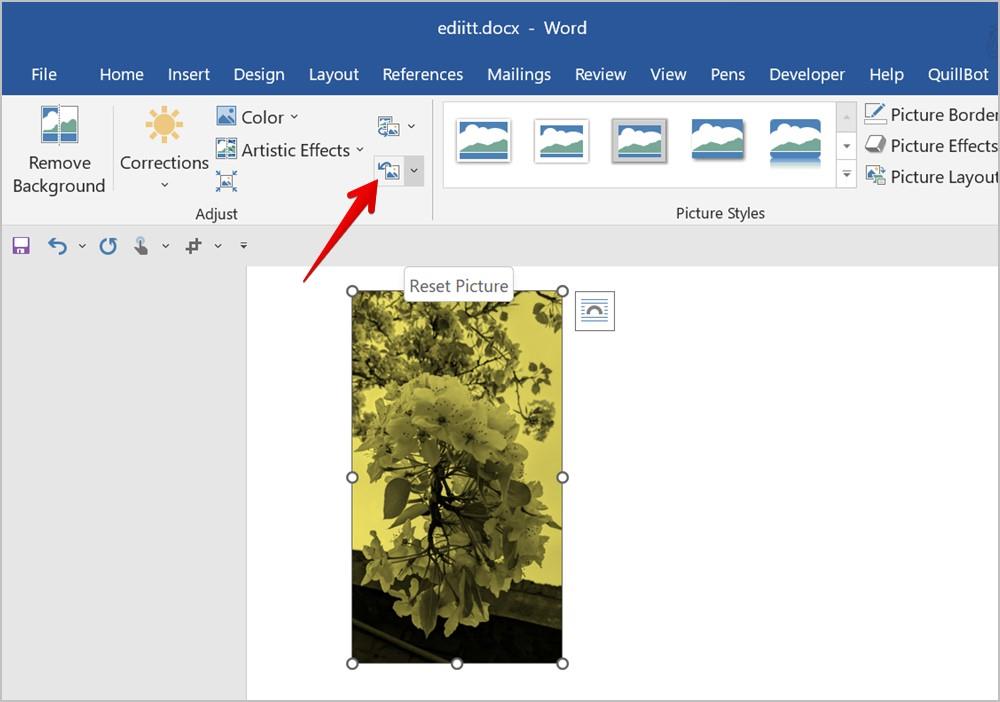 Word 文書で画像やスクリーンショットを編集する 15 のヒント