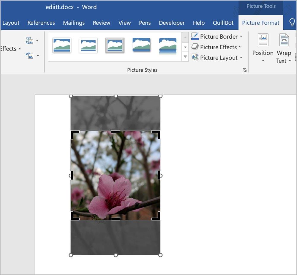Word 文書で画像をトリミングする 7 つの最良の方法 (円のトリミングを含む)
