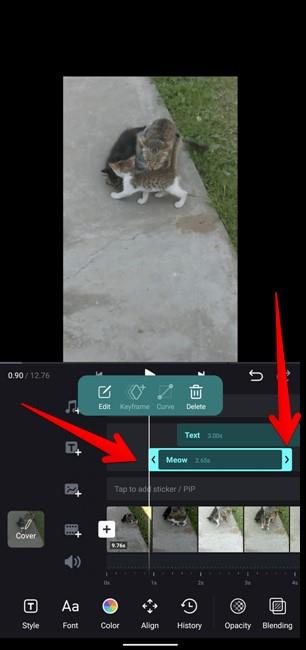 さまざまなタイミングでInstagramのリールにテキストを追加する方法
