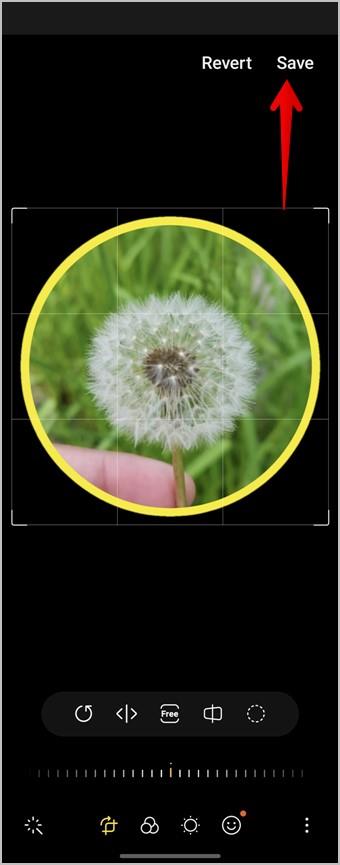 iPhone と Android で写真を円形に切り抜く 3 つの方法