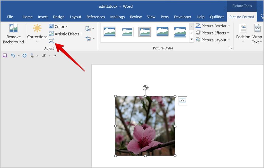 Word 文書で画像をトリミングする 7 つの最良の方法 (円のトリミングを含む)