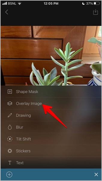 iPhone で写真を別の写真の上に置く 5 つの方法