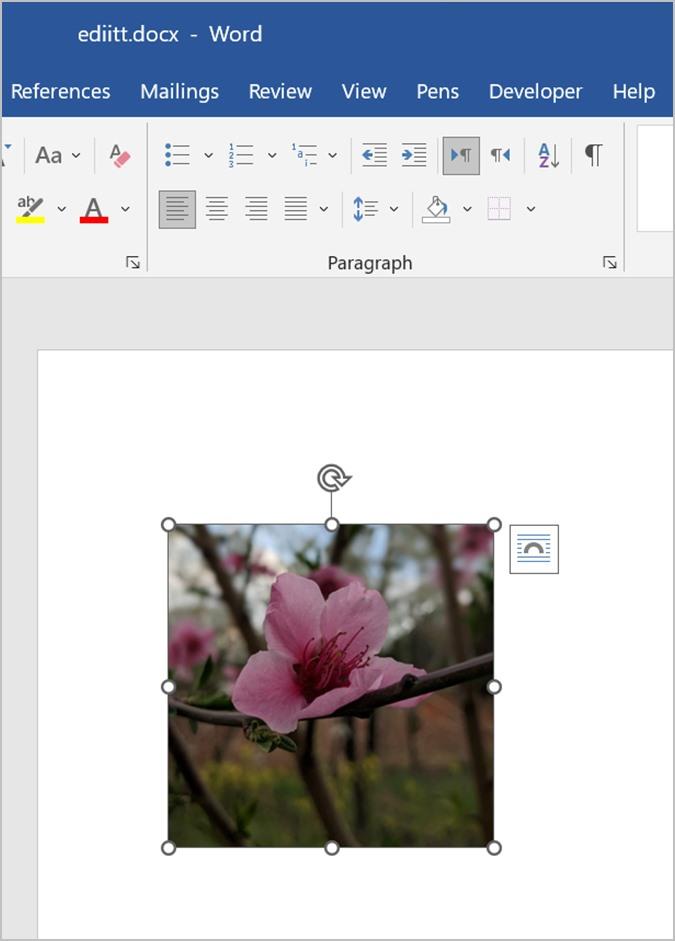 Word 文書で画像をトリミングする 7 つの最良の方法 (円のトリミングを含む)
