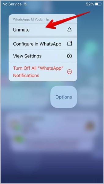 iPhone で通知のミュートを解除またはサイレントを解除する 9 つの方法
