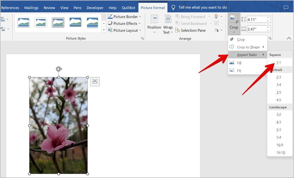 Word 文書で画像をトリミングする 7 つの最良の方法 (円のトリミングを含む)