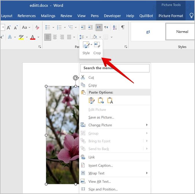 Word 文書で画像をトリミングする 7 つの最良の方法 (円のトリミングを含む)