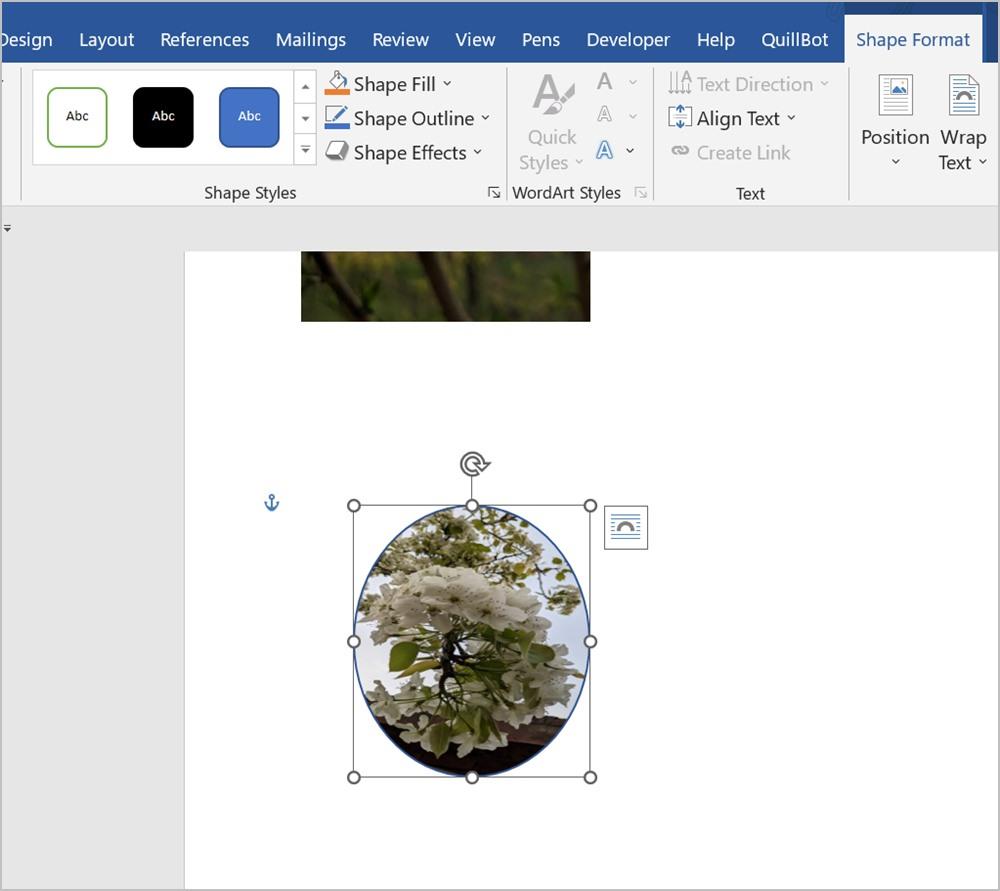 Word 文書で画像をトリミングする 7 つの最良の方法 (円のトリミングを含む)