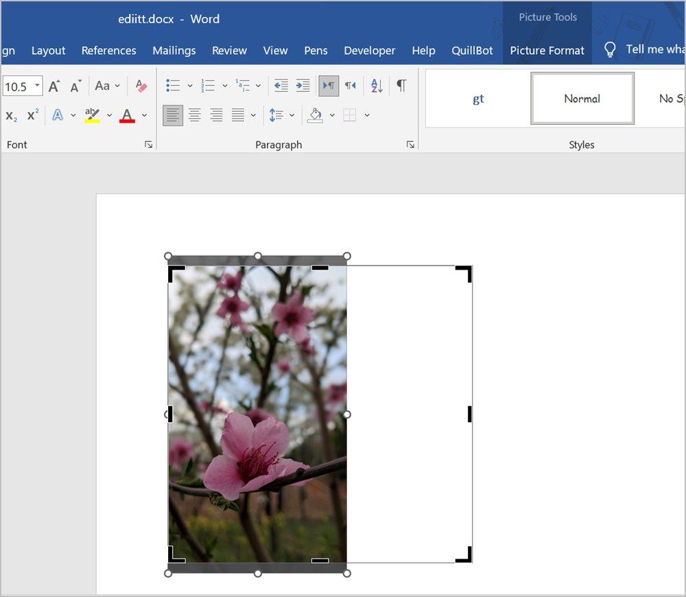 Word 文書で画像をトリミングする 7 つの最良の方法 (円のトリミングを含む)