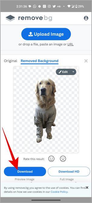 Samsung/Android で画像から背景を削除する 3 つの方法