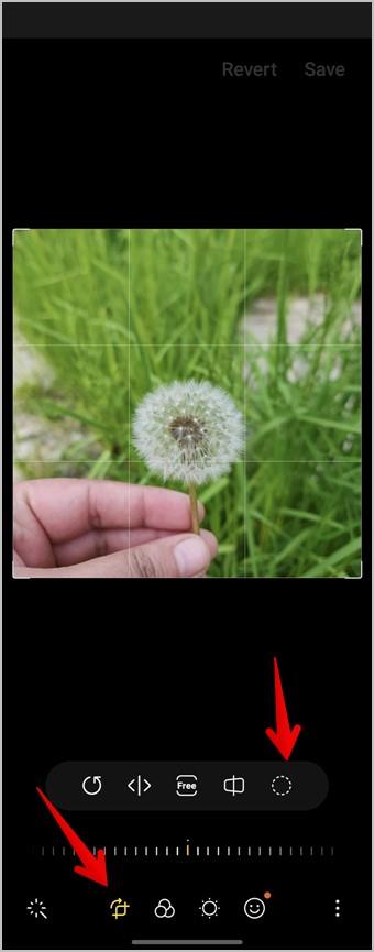 iPhone と Android で写真を円形に切り抜く 3 つの方法