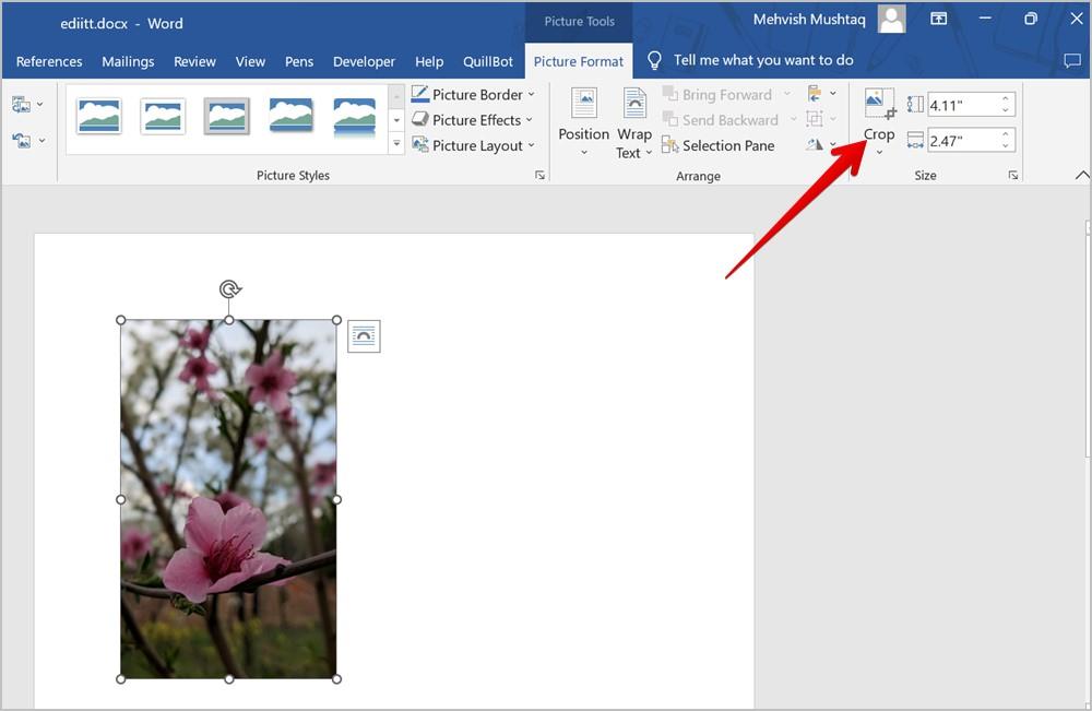 Word 文書で画像をトリミングする 7 つの最良の方法 (円のトリミングを含む)