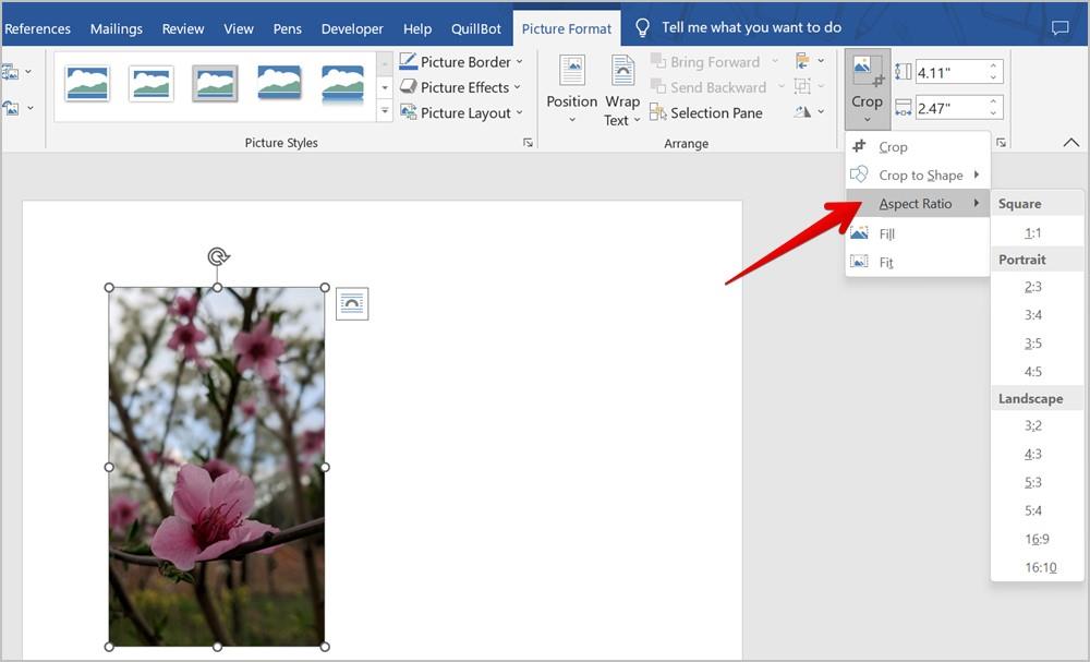 Word 文書で画像をトリミングする 7 つの最良の方法 (円のトリミングを含む)