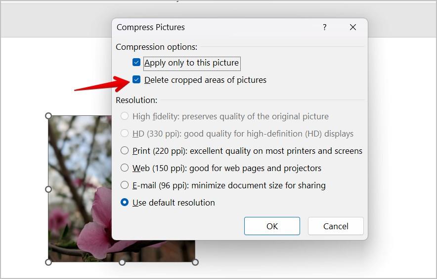 Word 文書で画像をトリミングする 7 つの最良の方法 (円のトリミングを含む)