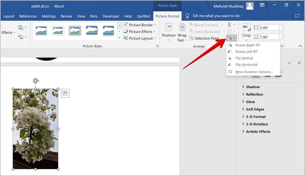 Word 文書で画像やスクリーンショットを編集する 15 のヒント