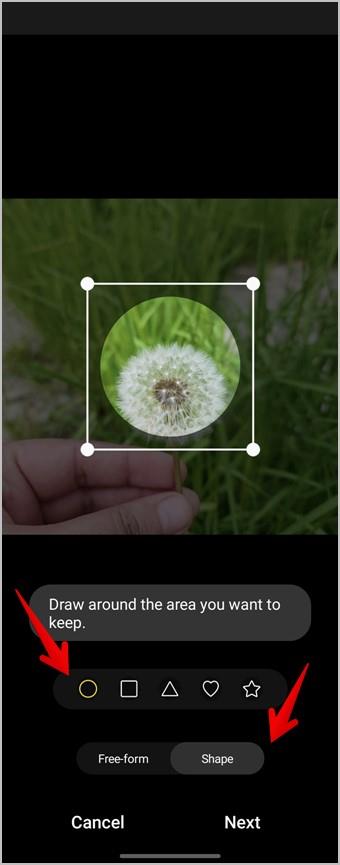 iPhone と Android で写真を円形に切り抜く 3 つの方法