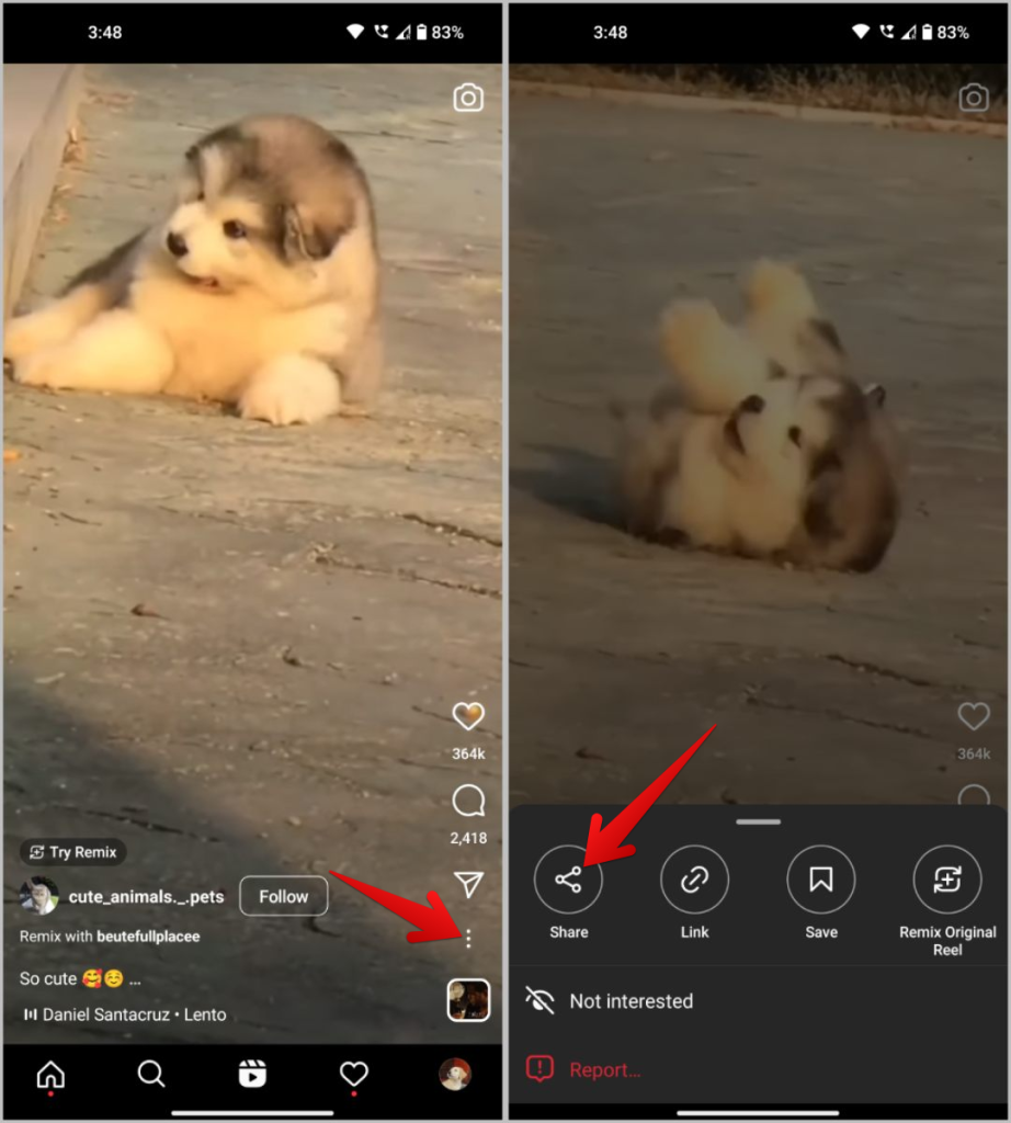 WhatsApp のチャット、グループ、ステータスで Instagram リールを共有する方法