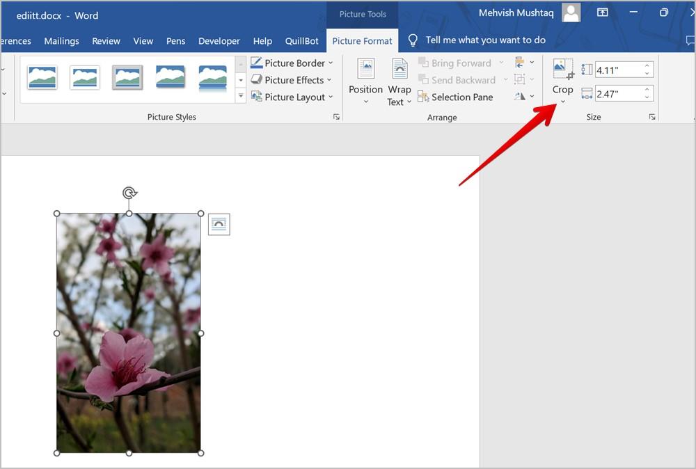 Word 文書で画像をトリミングする 7 つの最良の方法 (円のトリミングを含む)