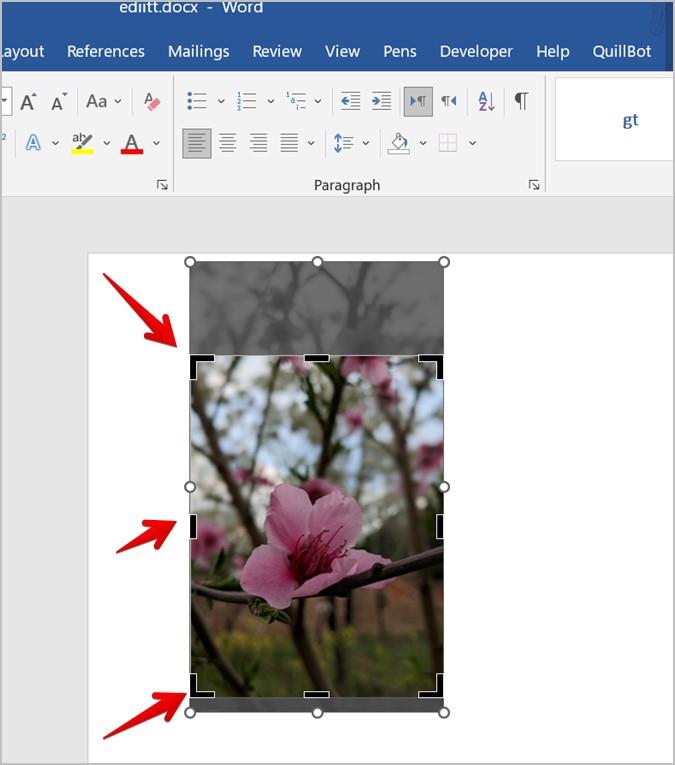Word 文書で画像をトリミングする 7 つの最良の方法 (円のトリミングを含む)