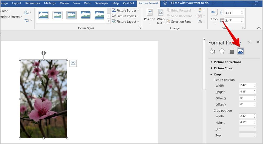 Word 文書で画像をトリミングする 7 つの最良の方法 (円のトリミングを含む)