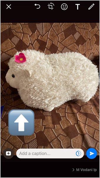 WhatsAppの写真に矢印または円を追加する方法
