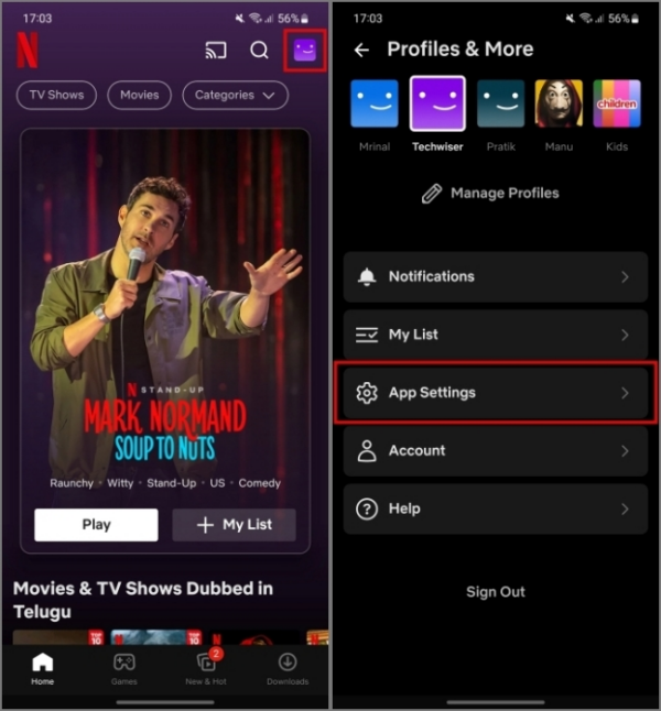 Netflix の画面がぼやける問題の 7 つの修正