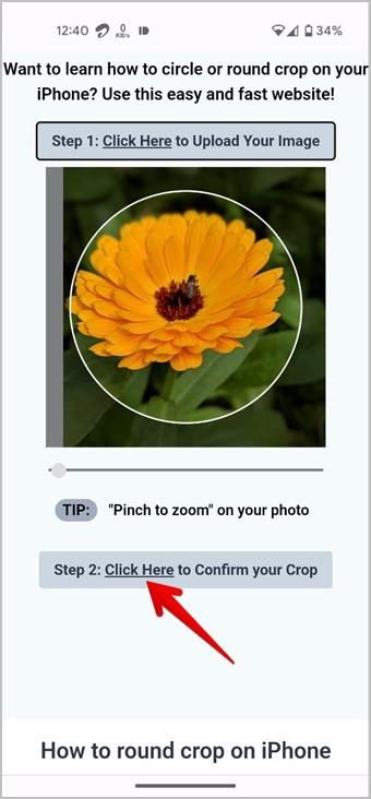 iPhone と Android で写真を円形に切り抜く 3 つの方法