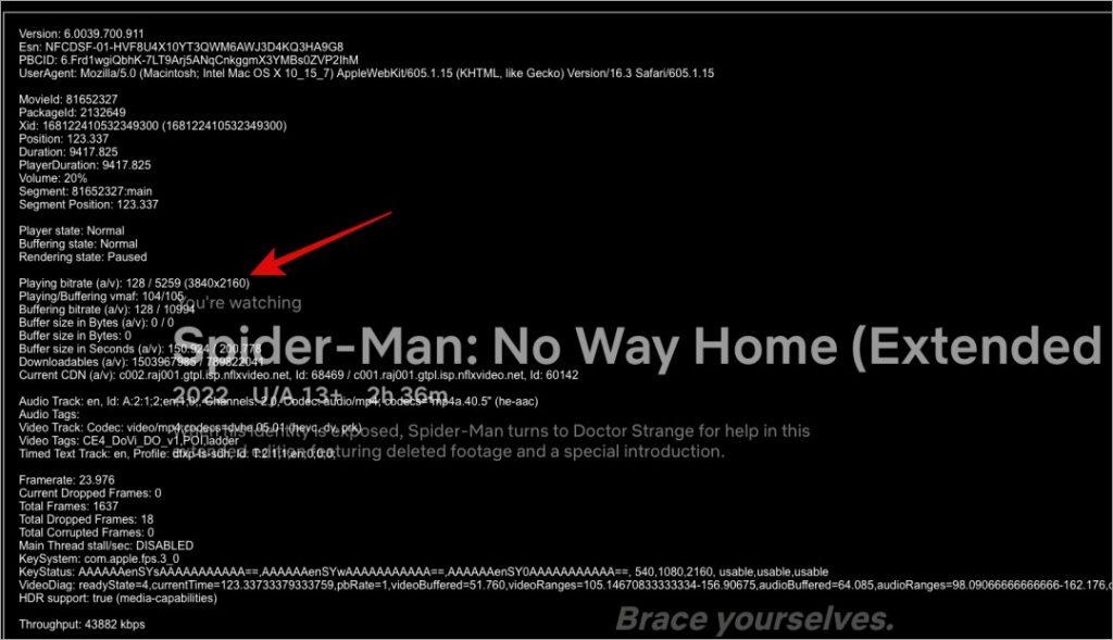 PC で Netflix が 4K で再生されない場合の 13 の最良の方法
