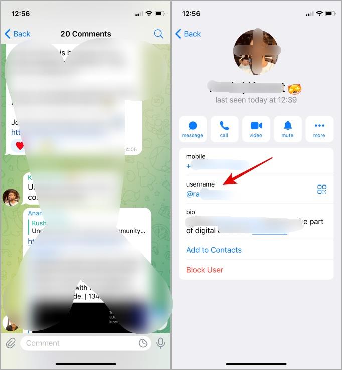 Telegram プロファイル、グループ、チャネル、メッセージ リンクをコピーする方法