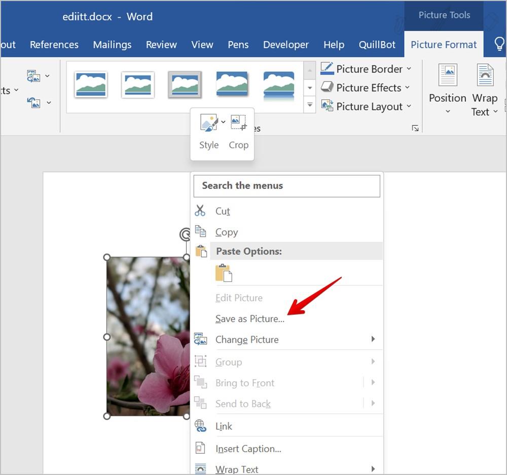 Word 文書で画像をトリミングする 7 つの最良の方法 (円のトリミングを含む)